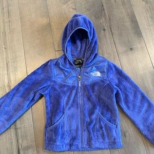 The North Face Blue Cozy Winter Jacket